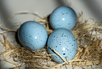 Naklejka na ściany i meble Easter blue egg with the hay, beautiful background with shadows