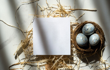 Easter card with copy space for text with three small Easter blue eggs in the nest