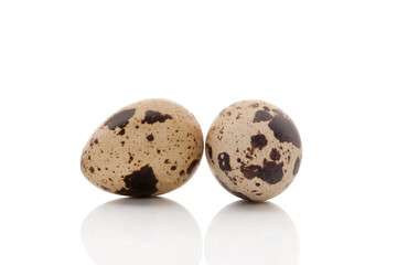 Two quail eggs isolated.