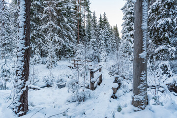 wooden bridge for tourists in the snowy forest