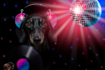 Fotobehang Grappige hond hond luistert naar muziek tijdens een feestje