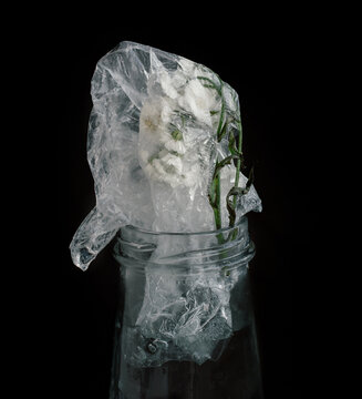 Flowers in plastic bag
