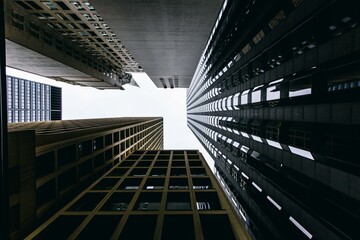Downtown Chicago Lookup