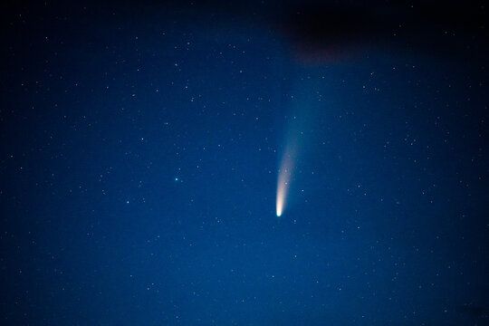 comet neowise in dark night sky