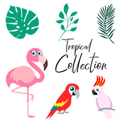 Tropical set collection, funny birds, palm leafs vector illustration