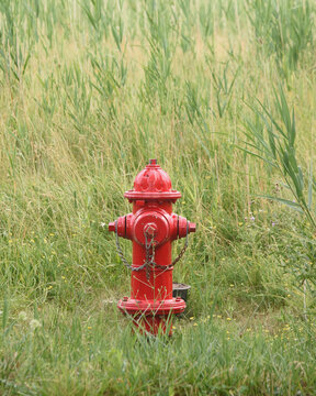 Red Fire Hydrant Outside in Green Nature Grass
