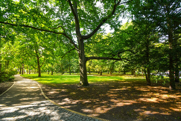 A shaded path through the trees in Kur Park, in the Baltic city of Warnemunde, Germany.