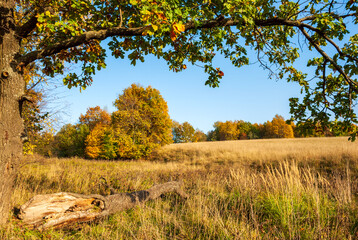 Fototapeta premium Beautiful landscape of the 