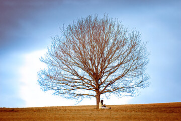 A standing alone tree in an autumn robe and under it it is a girl sitting and resting. Escaping...