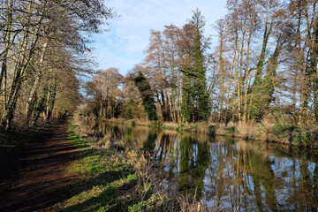 Obraz premium The towpath along the River Wey in Godalming, Surrey, UK