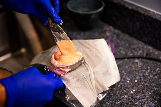 Custom Oral Mouth Mold being made with Plaster