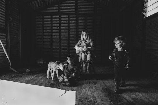 three kids in a barn with two lambs