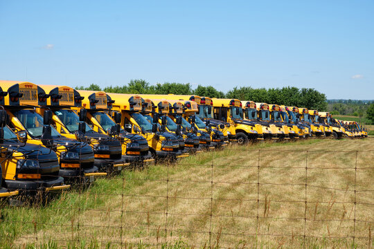 School Buses in Row