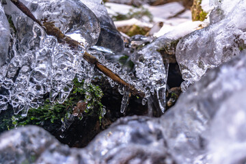 Iced Grass Plants Under Ice And Snow