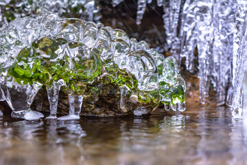 Iced Grass Plants Under Ice And Snow