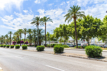 Fototapeta na wymiar Palma de Mallorca famous marina Carrer Del Moll, and palm trees promenade.