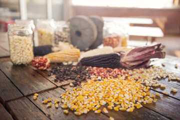Different species and colors of corn on wooden table. Corn for tortillas on wooden table. Mexican food.