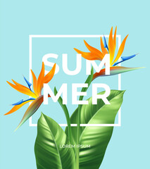 Summer tropical background with Strelitzia flowers and tropical leaves. The inscription Summer on a background of tropical green leaves. Vector illustration