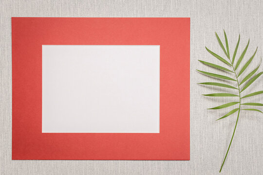 Cadre photo sur fond gris avec une feuille de plante verte. Pour écrire un message, invitation, vœux, photographie.	
