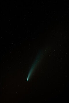 Neowise Comet at sky
