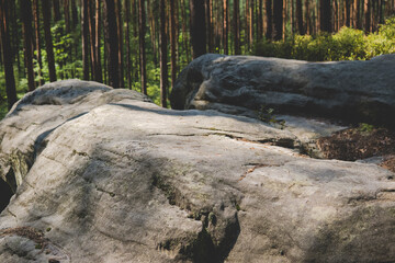 rock formation made from sandstones inside of a forest