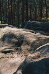 rock formation made from sandstones inside of a forest