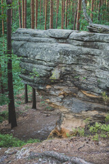 rock formation made from sandstones inside of a forest