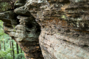 rock formation made from sandstones inside of a forest