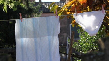 laundry suspended on a clothesline, for drying, consisting of a towel and panties in a sunny summer garden 