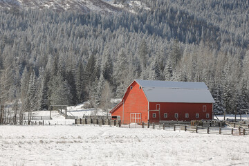 A bright red barn stands in a snow covered field in north Idaho.