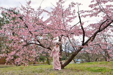 桜のそばに佇む和服の女性