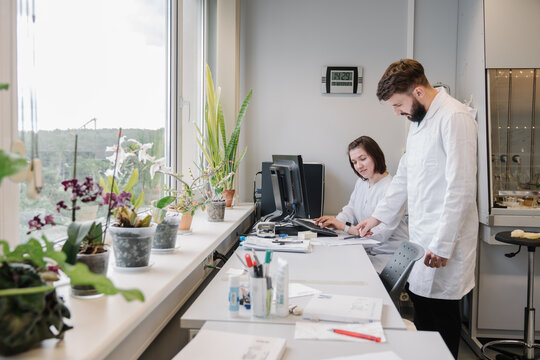 Scientists Working With Documents