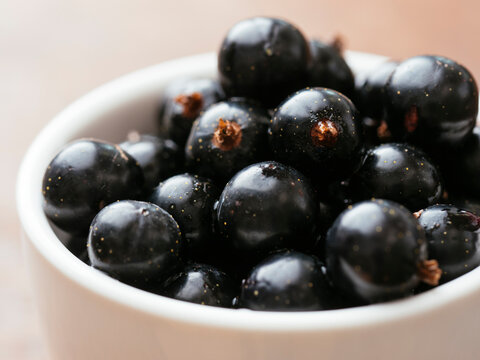 Fresh blackcurrants