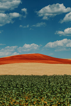Picturesque landscape.