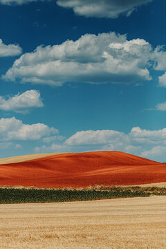 Picturesque landscape.