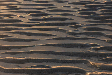 patterns of sand, wind and water on the beach of Cadzand 
