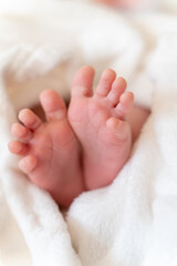 Obraz na płótnie Canvas tiny, cute, bare feet of a little caucasian newborn baby girl or boy peeking out of a white soft and cosy blanket, with pink skin, playful wriggling its toes and stretching after a nap. human feet 