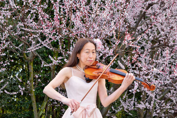 杏の前でヴァイオリンの演奏をする女性
