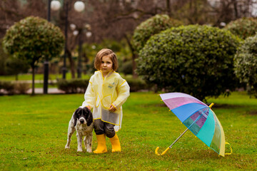 a beautiful girl in a yellow raincoat with a hood,and yellow boots, walks in the park with her favorite dog of the Russian Spaniel breed, with an umbrella