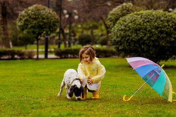 a beautiful girl in a yellow raincoat with a hood,and yellow boots, walks in the park with her favorite dog of the Russian Spaniel breed, with an umbrella