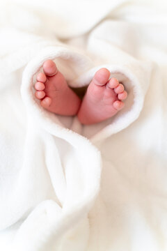 tiny, and cute, pink bare feet of a little caucasian newborn baby girl/boy wrapped in a heart shaped white soft and cosy blanket, symbolizing love of a growing family. Vertical picture orientation  