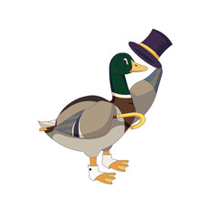 Obraz premium Drake duck with topper and cane on isolated white background, vector mallard gentleman in Cartoon style, vector duck, concept of Animals and Birds, Wildlife, Fashion and Clothing.