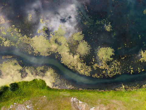 Flying over the flooded forest