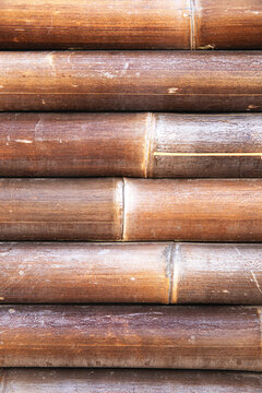Bamboo closeup