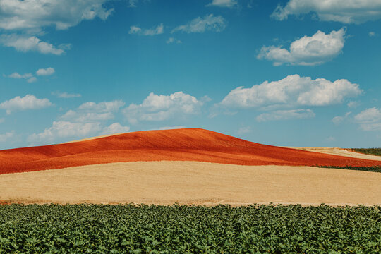 Green,yellow and red fields.