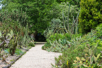 Path in the Porto Botanical Garden, Portugal
