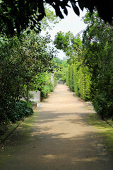 Fototapeta na wymiar Path in the Porto Botanical Garden, Portugal