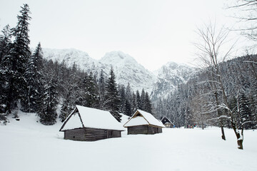 Winter landscape. Houses on a mountain background.