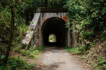 Landscape of old tunnel of the train track through the jungle