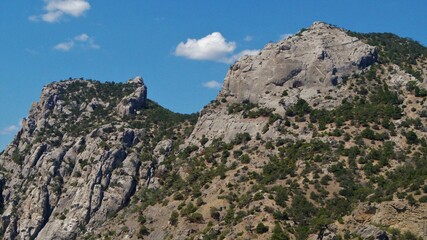 landscape in the mountains